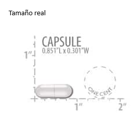 CAPSULE NmN +RESVERATROL ELITE